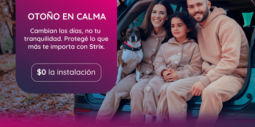 Strix en tu Auto
